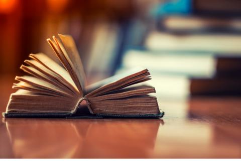 El Premio Literario 'Tierra de Ma&iacute;z' de novela corta lanz&oacute; su convocatoria 2026