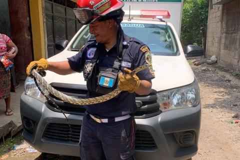 &iexcl;Ingres&oacute; a vivienda! Rescatan serpiente que estaba escondida en aire acondicionado