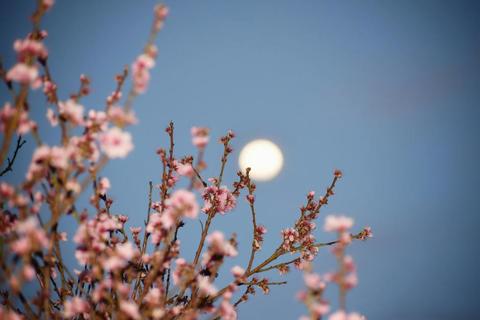 Mayo: La luna de las flores y la luna azul que puedes observar