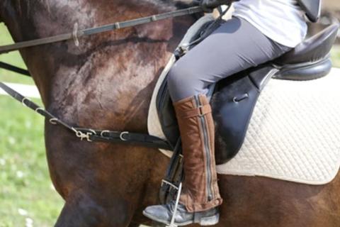 Jinete resulta herida tras caer de su caballo en medio de un desfile h&iacute;pico