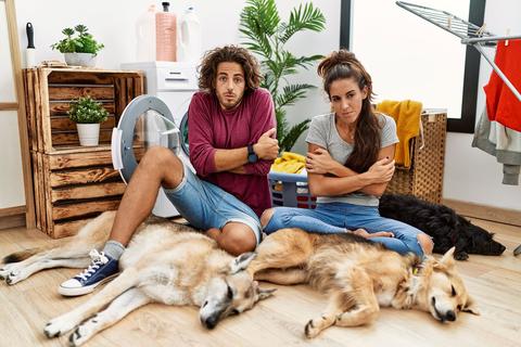 Los padecimientos que provoca el fr&iacute;o extremo en los perros