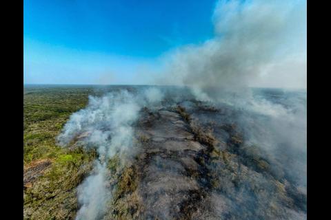 &ldquo;&iexcl;No es el fuego, eres t&uacute;!&rdquo;: CONAP impulsa campa&ntilde;a contra incendios forestales