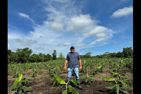 Sistemas de riego marcan la diferencia en la producci&oacute;n de alimentos