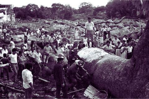 A 50 a&ntilde;os del terremoto del 4 de febrero de 1976, esto es lo que recuerda Guatemala