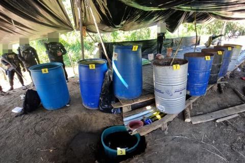 Localizan y destruyen narcolaboratorio en Izabal
