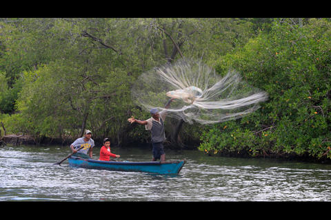 Veda de langosta entra en vigor en el Caribe guatemalteco de marzo a junio