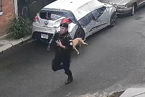 VIDEO: persecuci&oacute;n policial termina con captura de presunto pandillero 