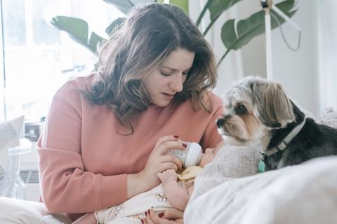 Lleg&oacute; el beb&eacute; a casa: &iquest;c&oacute;mo present&aacute;rselo a tu mascota?