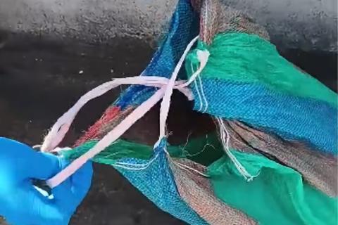 Vecinos encuentran un costal abandonado y se llevan una sorpresa (video)