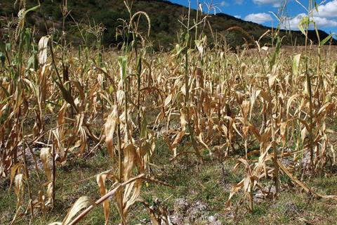 Advierten que efectos del fen&oacute;meno de El Ni&ntilde;o podr&iacute;an extenderse hasta 2027