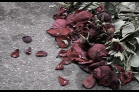 Iba a visitar a su novia y termin&oacute; gravemente herido