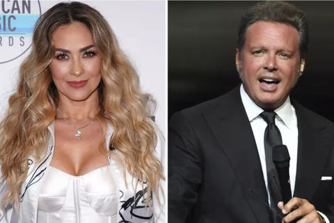 Captan al hijo de Luis Miguel y Aracely Ar&aacute;mbula en aeropuerto (video)