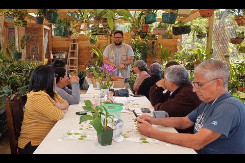 Festival Floraao 2026 abre convocatoria para emprendedores en Alta Verapaz