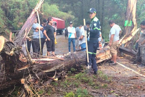 Lluvias con r&aacute;fagas de viento derriban &aacute;rboles en Villa Canales