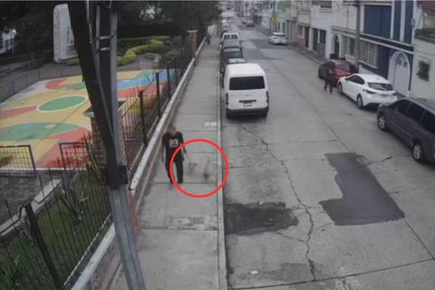 &iexcl;Queda grabado! Hombre abandona a dos perros que terminaron siendo rescatados (video)