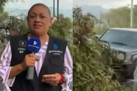 Este es el estado de salud de periodistas que fueron atropellados en transmisi&oacute;n en vivo