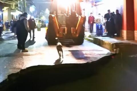 Momento en que perro cae en hundimiento de Mixco (VIDEO)
