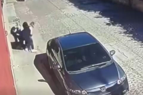 Video: Dos mujeres se llevan a Bruno, un perro de apoyo