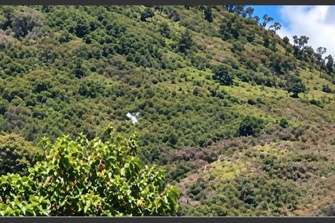 &iexcl;Falsa alarma! Bomberos confirman que no se localiz&oacute; la supuesta aeronave desplomada