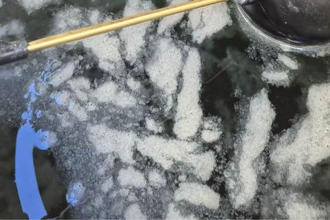 Vecinos de San Crist&oacute;bal denuncian contaminaci&oacute;n en el agua