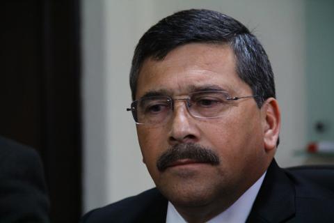 El tacuazín, de guardián del gallinero