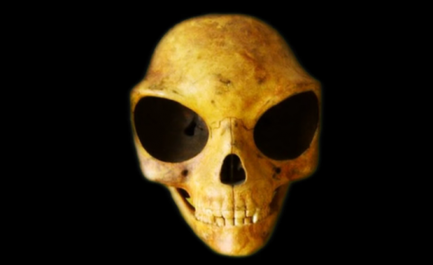 Encuentran extra&ntilde;o cr&aacute;neo que no coincide con ning&uacute;n ser vivo conocido