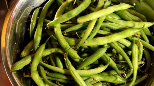 Cinco razones para incluir ejotes en tu dieta 