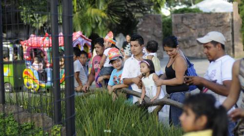 Esto es todo lo que debes saber sobre las adopciones en Guatemala