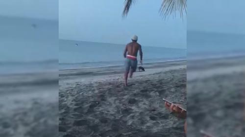 Intenta agredir a un perro y el karma lo castiga de inmediato