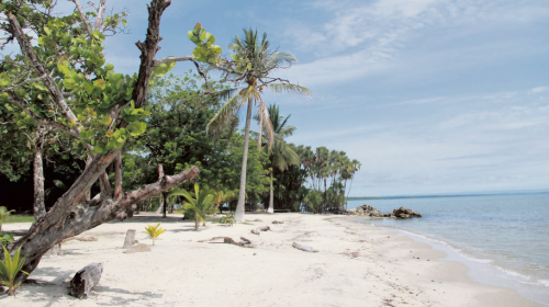 Cuatro playas de Guatemala que debes conocer