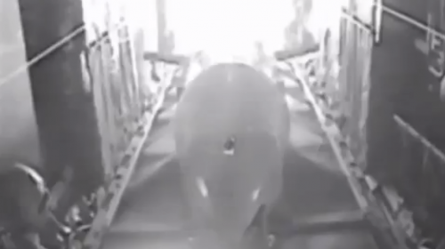 Video: As&iacute; fue como se lanz&oacute; la "madre de todas las bombas"