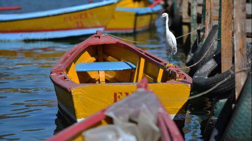 Ministro de Ambiente retoma el tema de limpieza del Lago de Amatitl&aacute;n