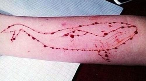 Un perverso juego suicida de adolescentes llega a Am&eacute;rica Latina 