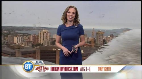 Una gaviota gigante se roba el show durante una transmisi&oacute;n "en vivo"