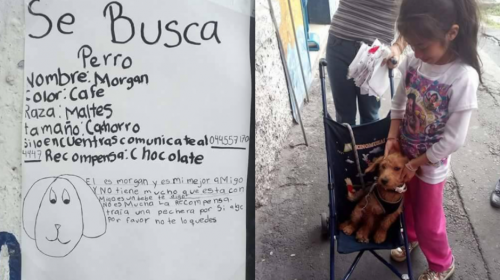 Con este ingenioso cartel una ni&ntilde;a mexicana recuper&oacute; a su perro 