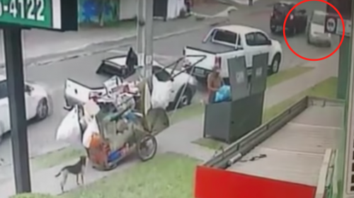 Hombre y su perro se salvan por pocos centímetros de ser atropellados