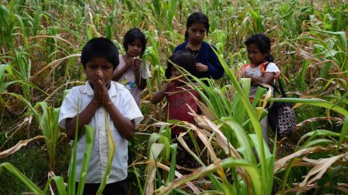 Mientras los corruptos se deleitan, los niños mueren de hambre