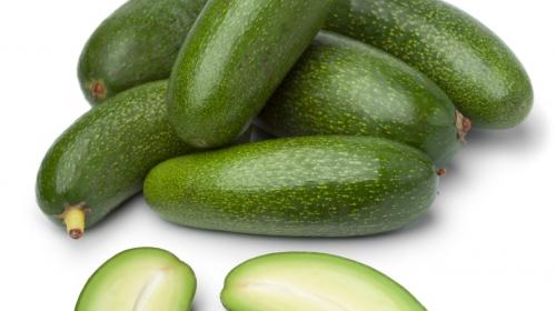 Lanzan un aguacate sin semilla para evitar accidentes en la cocina
