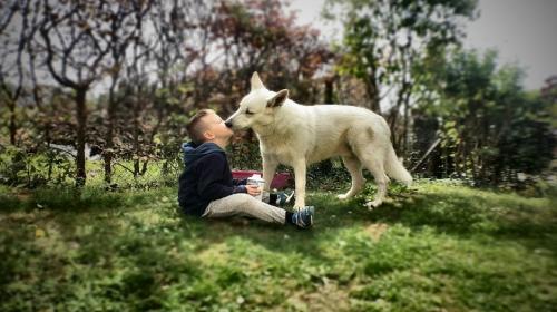Por qu&eacute; a tu perro le gusta lamerte la cara (y por qu&eacute; debes evitarlo)