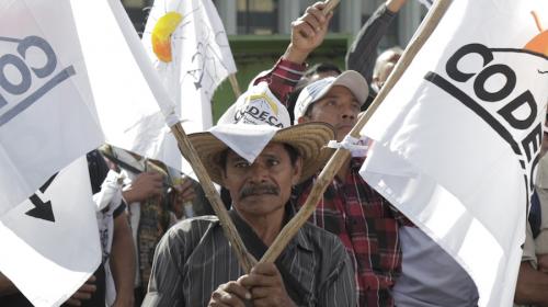 CODECA y los bloqueadores fresas
