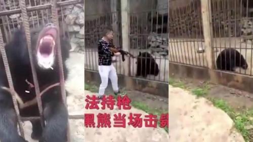 Turista chino comete atroz crimen contra oso en peligro de extinci&oacute;n 