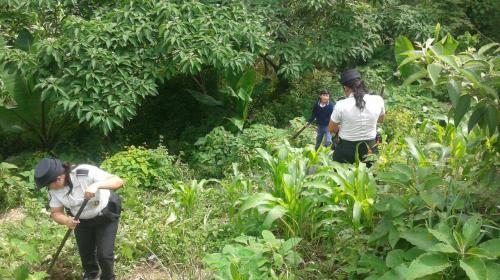 Agentes de la PNC dejan las armas para realizar esta noble labor