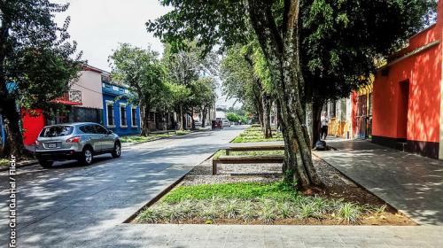 El prodigioso encuentro de una anciana, cuatro extraños y la Policía