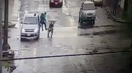 &iexcl;Tremendo accidente! Auto se pasa en rojo y choca con motorista