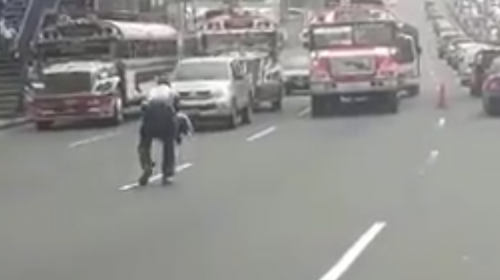 Un PMT intenta salvar la vida de un perro atropellado en Villa Nueva