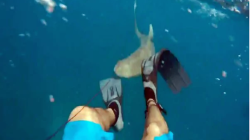 Pescador graba el aterrador momento en que fue mordido por un tibur&oacute;n