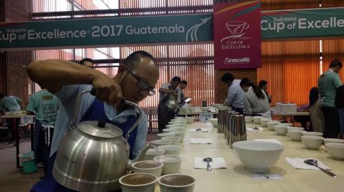 El caf&eacute; de Guatemala se posiciona en el gusto de los asi&aacute;ticos