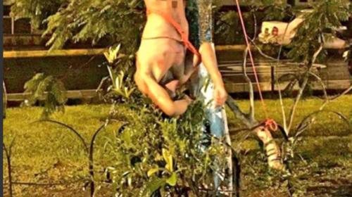 Esto se sabe del incidente en la Usac que dejó a un hombre vapuleado