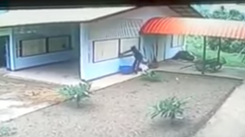 Este ladrón se lleva tremenda sorpresa en una casa 