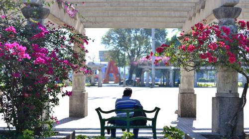 El gesto breve de la primavera